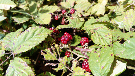 Similar image 21627723