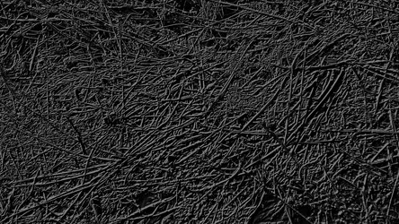 Similar image 21627724