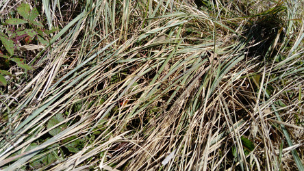 Similar image 21627731