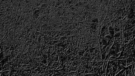 Similar image 21627732