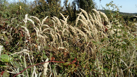 Similar image 21629061