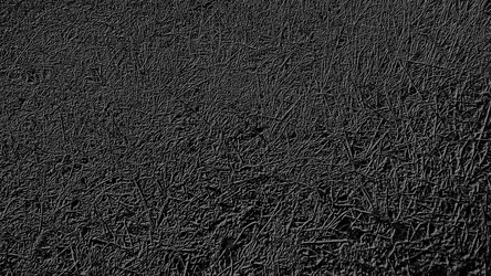 Similar image 21629323