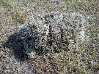 Similar image 21629330