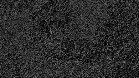 Similar image 21629331