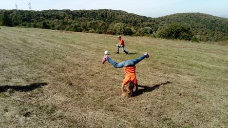 Similar image 21629334