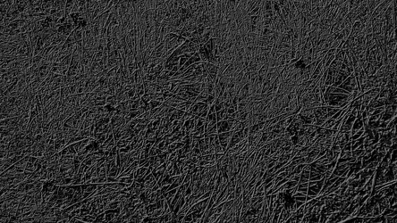 Similar image 21629337