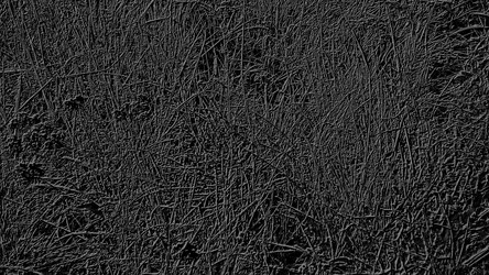 Similar image 21629339