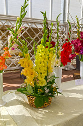 Similar image 21621216