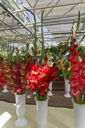 Similar image 21621218