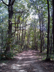 Similar image 21627327