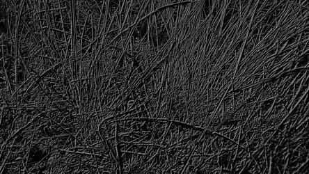 Similar image 21627330