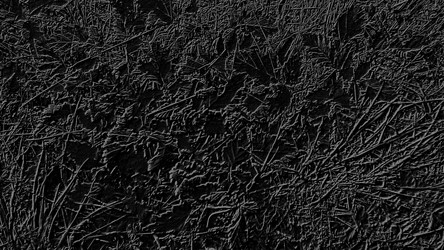 Similar image 21627333