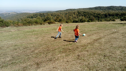 Similar image 21627335