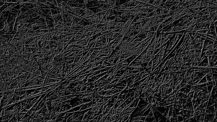 Similar image 21627337