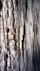 Similar image 21627339