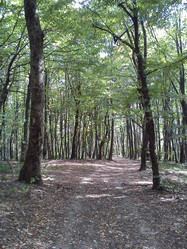 Similar image 21627340