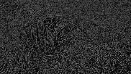 Similar image 21627349