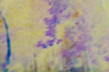 Similar image 21621222