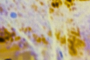 Similar image 21621225