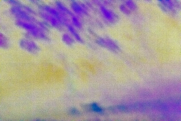 Similar image 21621229