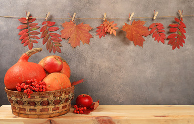 Similar image 21621783