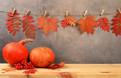 Similar image 21621788