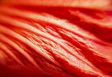 Similar image 21621799