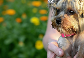 Similar image 21621806