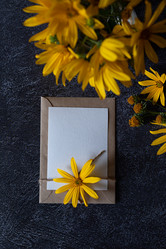 Similar image 21621808