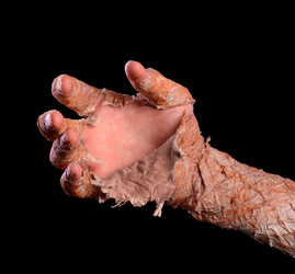 Similar image 21628007