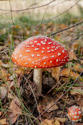 Similar image 21626563