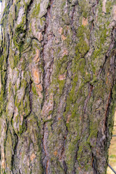 Similar image 21626567