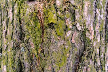 Similar image 21626568