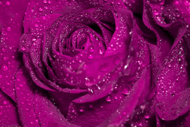 Similar image 21626570