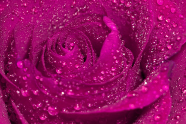 Similar image 21626571