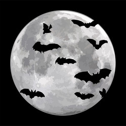 Similar image 21626575