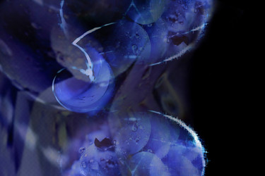 Similar image 21628959