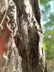 Similar image 21621294