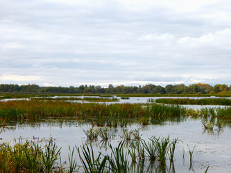 Similar image 21621296