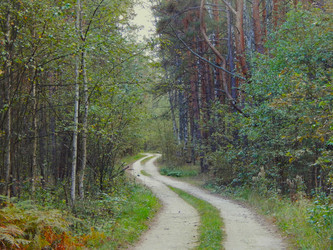 Similar image 21621297