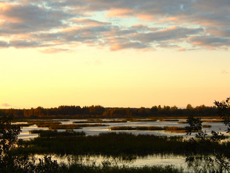 Similar image 21621299