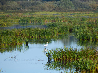 Similar image 21621300