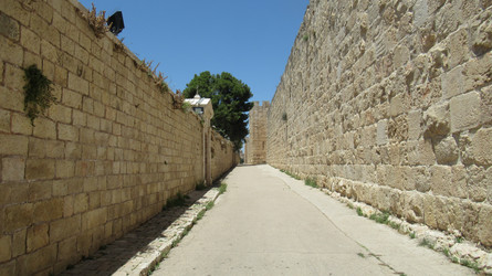 Similar image 21621305