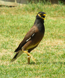 Similar image 21621307