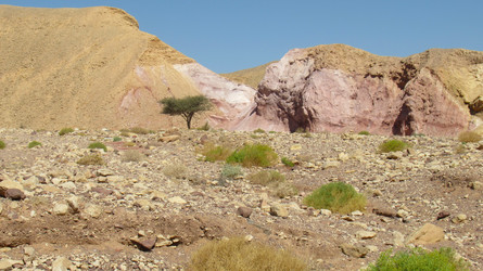 Similar image 21621309