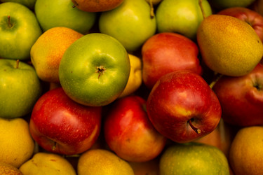 Similar image 21626576