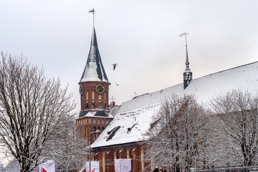 Similar image 21626968