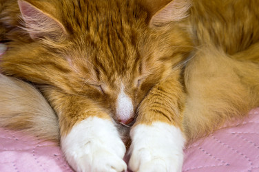 Similar image 21626986