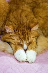 Similar image 21626993