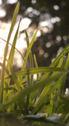 Similar image 21626473